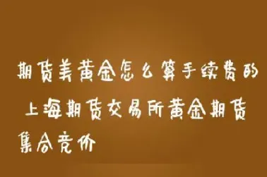 黄金期货回报怎么算(黄金期货回报怎么算收益)_https://cj.meihuadianqi.com_财经分析_第1张