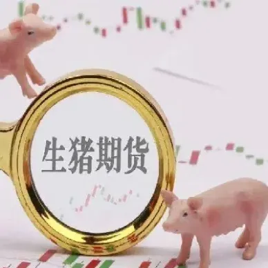 批准生猪期货交易是什么(批准生猪期货交易是什么意思)_https://cj.meihuadianqi.com_期货财经_第1张