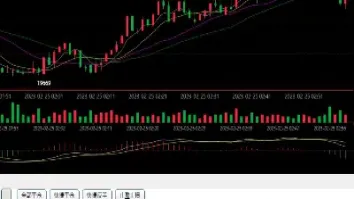 国际期货定制平台排名(国际期货定制平台排名前十)_https://cj.meihuadianqi.com_财经行情_第1张