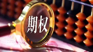期权 价格(期权价格计算公式)_https://cj.meihuadianqi.com_财经行情_第1张