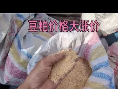 1手豆粕期货费用多少钱(交易1手豆粕期货多少钱)_https://cj.meihuadianqi.com_期货财经_第1张
