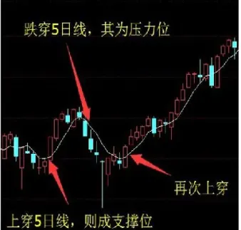 如何判断期货支撑点压力位(如何判断期货支撑点压力位的大小)_https://cj.meihuadianqi.com_财经直播_第1张