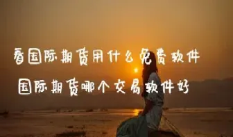 国际期货平台销售(国际期货平台销售额排名)_https://cj.meihuadianqi.com_财经分析_第1张