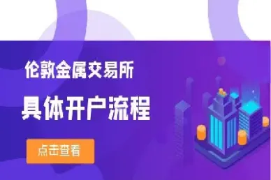 伦敦金属交易所锌期货(伦敦金属交易所锌行情)_https://cj.meihuadianqi.com_财经直播_第1张