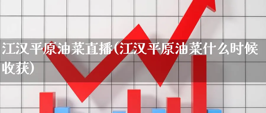 江汉平原油菜直播(江汉平原油菜什么时候收获)_https://cj.meihuadianqi.com_财经分析_第1张