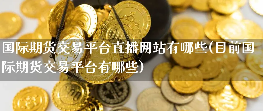 国际期货交易平台直播网站有哪些(目前国际期货交易平台有哪些)_财经行情_第1张_期货财经直播间 国际期货交易平台直播网站有哪些(目前国际期货交易平台有哪些)_https://cj.meihuadianqi.com_财经行情_第1张