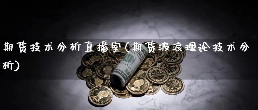 期货技术分析直播室(期货波浪理论技术分析)_https://cj.meihuadianqi.com_财经直播_第1张