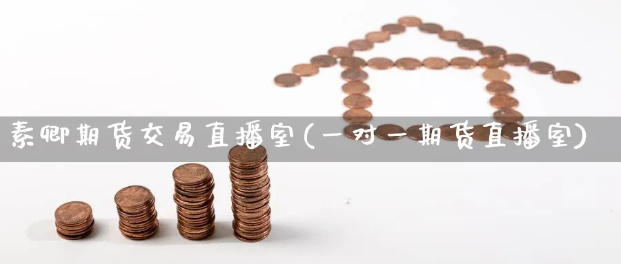 素卿期货交易直播室(一对一期货直播室)_https://cj.meihuadianqi.com_期货财经_第1张
